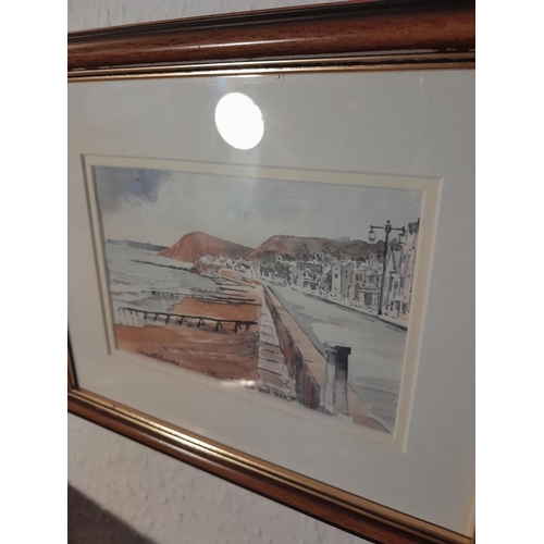 88 - Various pictures and prints, panoramic Sidmouth print etc.