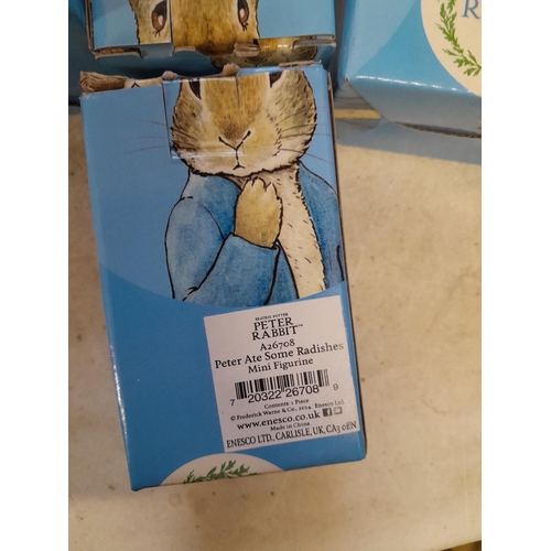 117 - World of Beatrix Potter and Peter Rabbit collectables : boxed figures some Ltd edition or members on... 