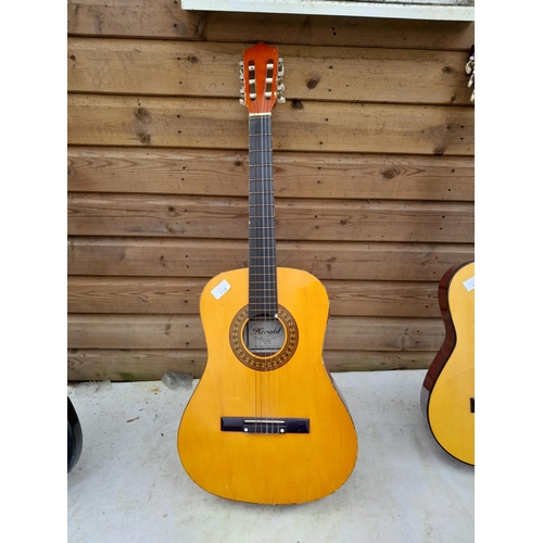 118 - Herald acoustic guitar