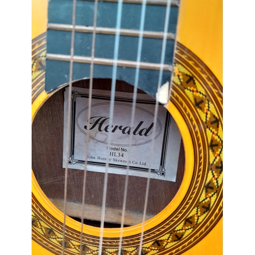 118 - Herald acoustic guitar