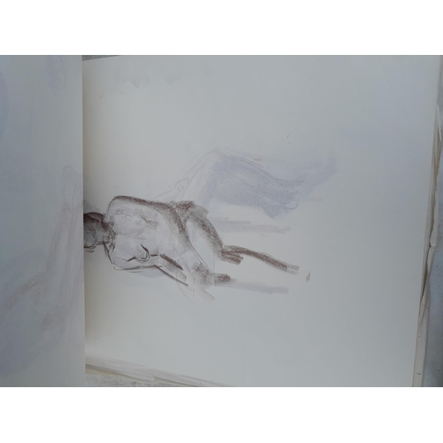 197 - Sketchbook full of mainly Life Studies in charcoal by Claudine Bowie