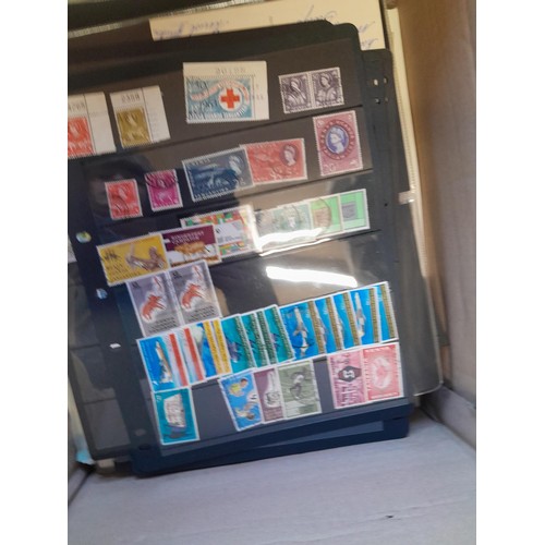 115 - A Mint and Used collection of stamps of Africa, this extensive collection is offered in stock books,... 