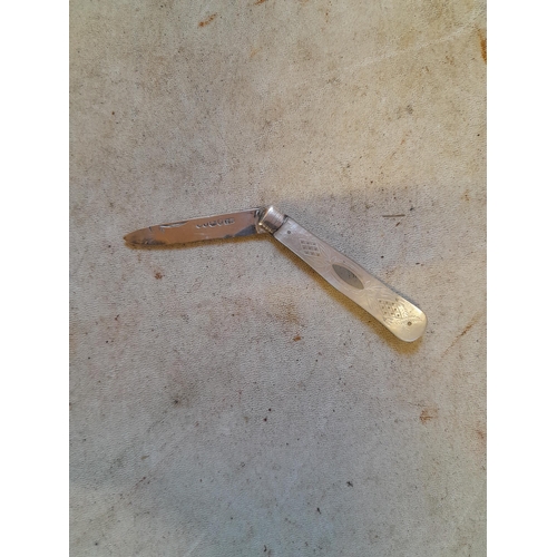 42 - Victorian mother of pearl silver bladed fruit knife