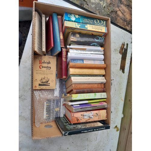 110 - Box of mixed theme books