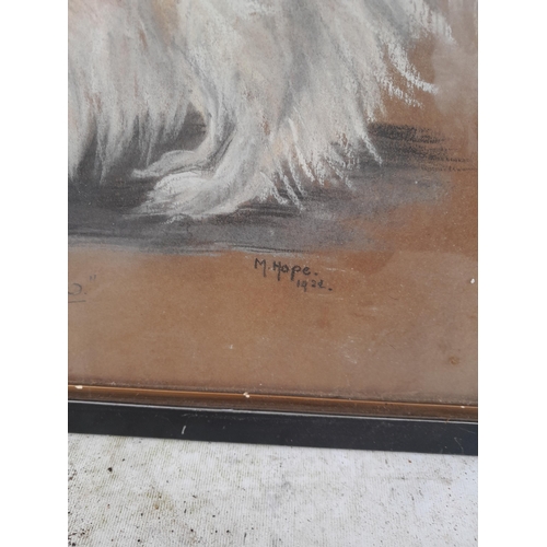 117 - Early 20th century pastel portrait of a Dog