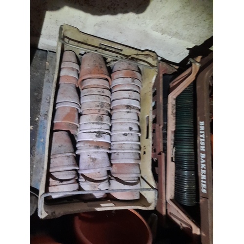 129 - Bakers plastic tray of Terracotta pots
