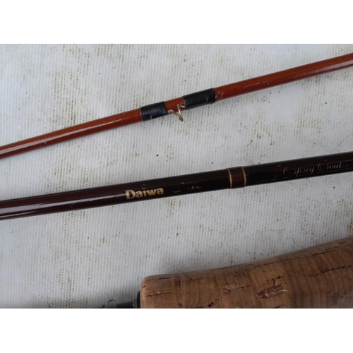 218 - Fishing interest : Good array of branded and other mainly trout fishing rods : Hardy, Daiwa, Shakesp... 