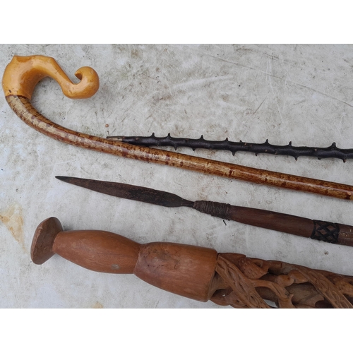 2 - Collection of various walking sticks, African spear, ceremonial stick etc.