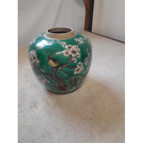 72 - Late 18th early 19th century Chinese Famille Rose ginger jar with prunus decoration in good order