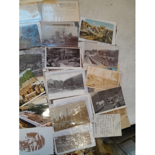 205 - Postcards : approx 75 thematic postcards all connected with logging & lumbar industry, lots of bette... 