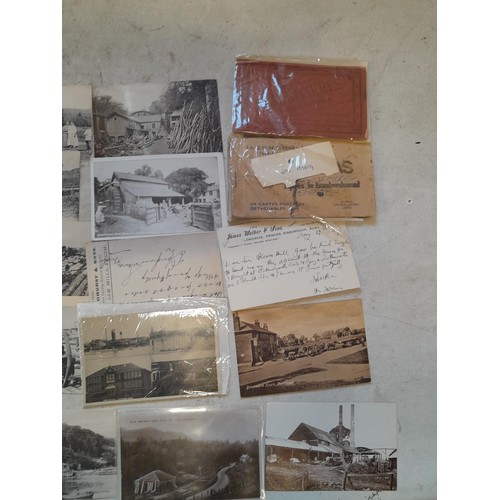 205 - Postcards : approx 75 thematic postcards all connected with logging & lumbar industry, lots of bette... 