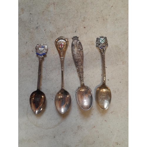 704 - 9 x Silver and lower grade collectors tea spoons