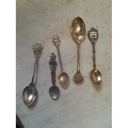 704 - 9 x Silver and lower grade collectors tea spoons