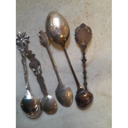 704 - 9 x Silver and lower grade collectors tea spoons