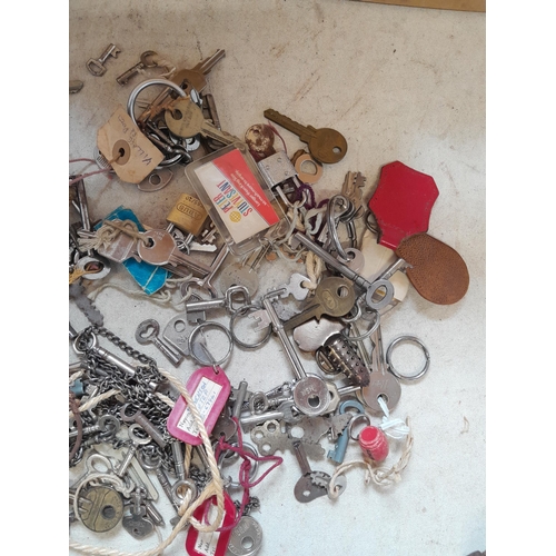 26 - Quantity of vintage and modern keys