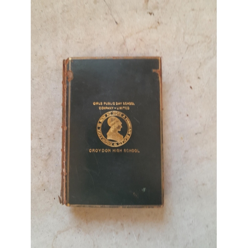 231 - Single volume : English Men of Action by David Livingstone 1901