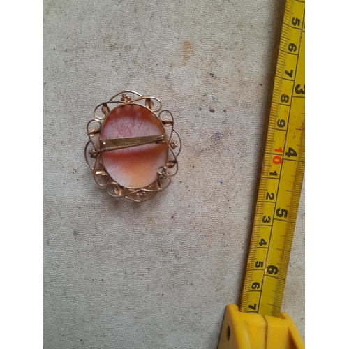 242 - Gold plated cameo brooch