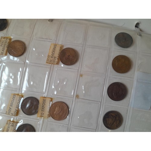 260 - Coins : Mixed era GB coins from 19th century onwards, earlier coins polished housed in album sheets,... 