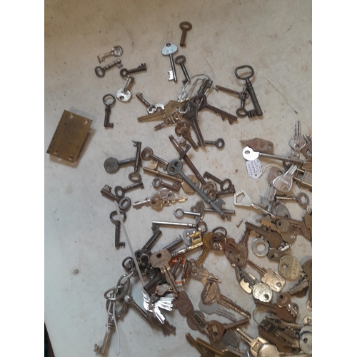 100 - Antique, vintage and modern keys, escutcheons and locks, cash tin etc.