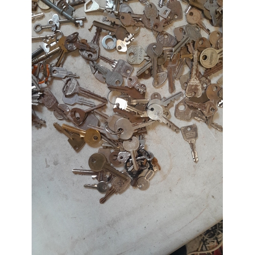 100 - Antique, vintage and modern keys, escutcheons and locks, cash tin etc.