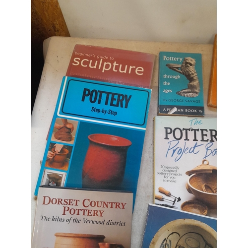 101 - Books on studio pottery , pop music : Views by Roger Dean and various maps , tourist information lea... 