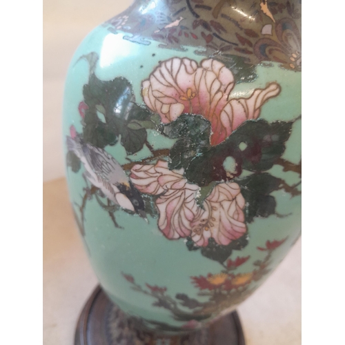 115 - Japanese Meiji period cloisonne vase decorated with birds on bough with pale turquoise ground on lat... 