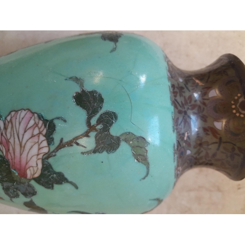 115 - Japanese Meiji period cloisonne vase decorated with birds on bough with pale turquoise ground on lat... 
