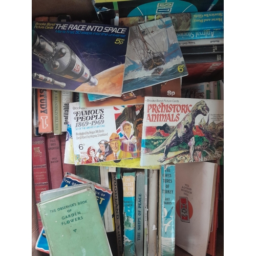 426 - Box of mixed themed books, mainly childrens