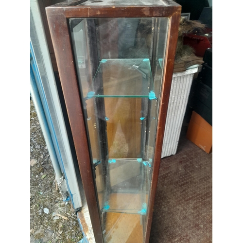 456 - Vintage shop display / collectors cabinet