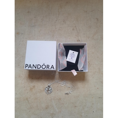 42 - Pandora boxed Tree of Life necklace