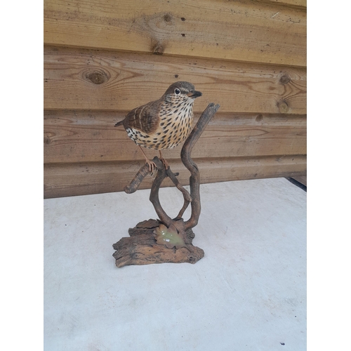 414 - A Mike Wood hand carved and painted wooden sculpture of a Song Thrush, August 2009