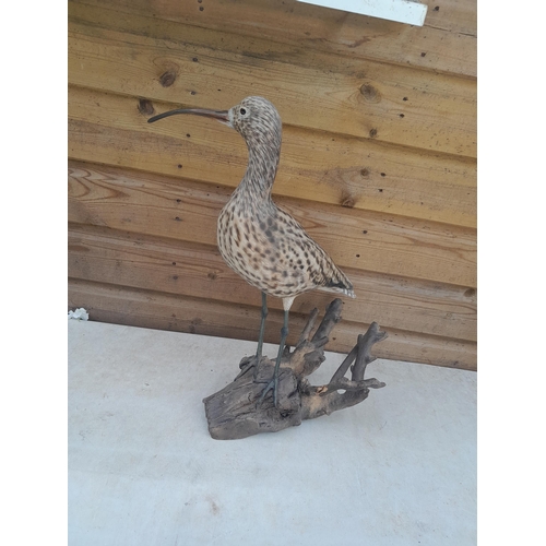 416 - A Mike Wood hand carved and painted wooden sculpture of a Curlew, note woodworm damage to base 7/96