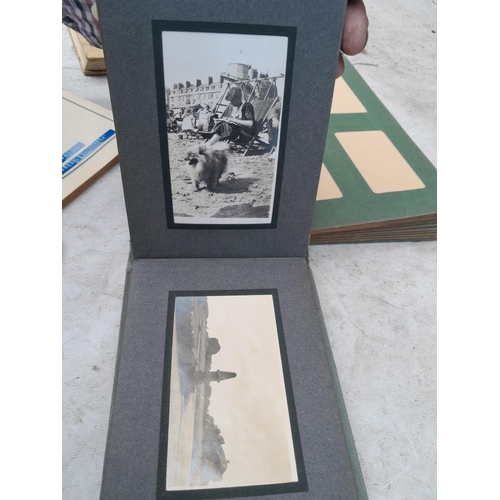 253 - Commemorative Souvenir Album, 2 x partially and sparsely filled black and white family photograph al... 