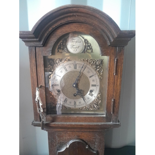 25 - Vintage Tempus Fugit oak case grandmother clock