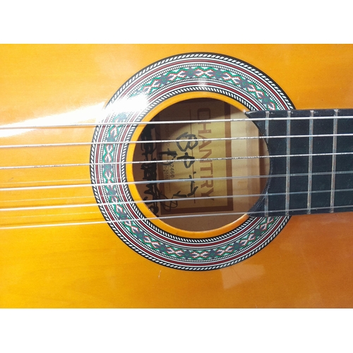 331 - Chantry classical guitar in case