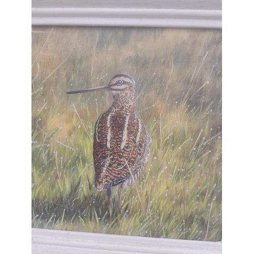 433 - 20th century oil on canvas Common Snipe by Peter Bainbridge (British 20th century) 25 cms x 35 cms f... 