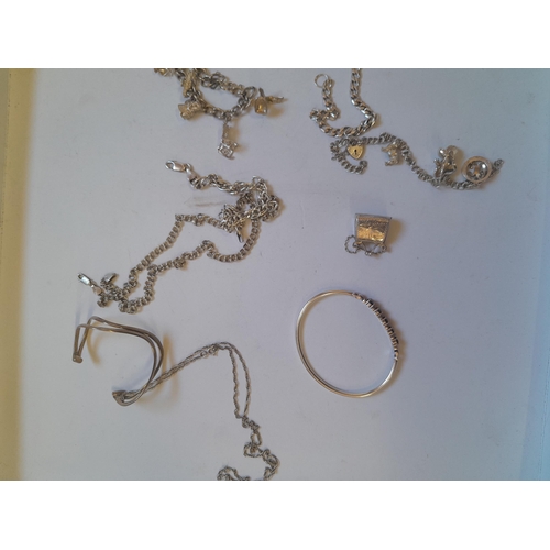 15 - Silver costume jewellery : 925 and garnet bangle, charm bracelet and loose charms etc.