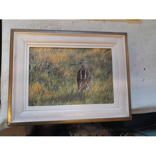 433 - 20th century oil on canvas Common Snipe by Peter Bainbridge (British 20th century) 25 cms x 35 cms f... 