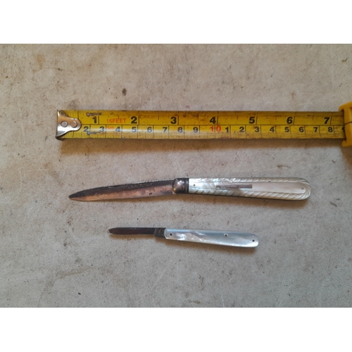 91 - 1 x silver blade fruit knife with mother of pearl handle and one other quill knife with steel blade