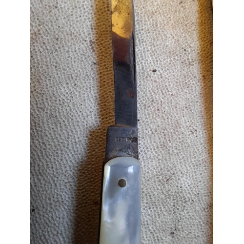 91 - 1 x silver blade fruit knife with mother of pearl handle and one other quill knife with steel blade