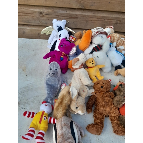 118 - TY Beanie Babies Teddys