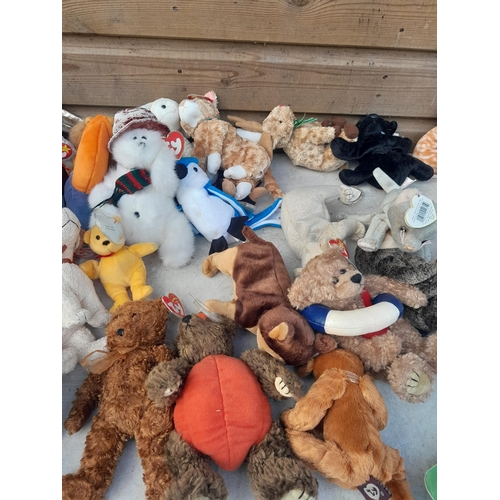 118 - TY Beanie Babies Teddys