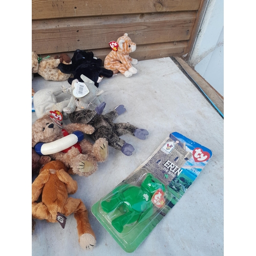 118 - TY Beanie Babies Teddys