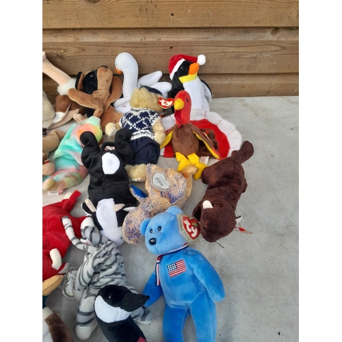 119 - TY Beanie Babies Teddys