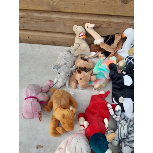 119 - TY Beanie Babies Teddys