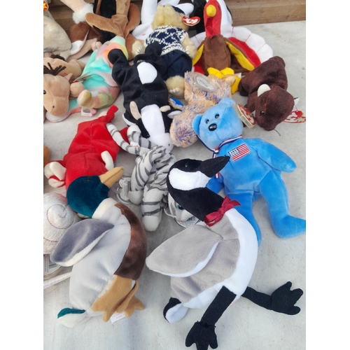 119 - TY Beanie Babies Teddys