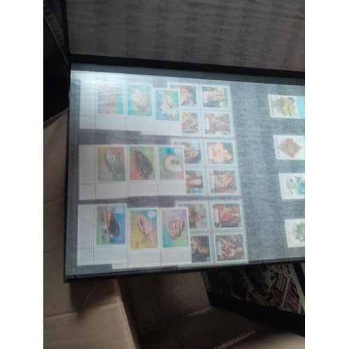 15 - Assorted stamp stock books and loose pages with mint and used QEII era Commonwealth, badly stored wi... 