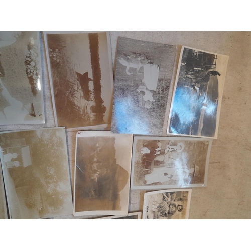 438 - Early 20th century black and white collection of postcards