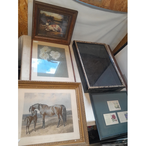 443 - Collection of painting 19th century print Mare & Foal