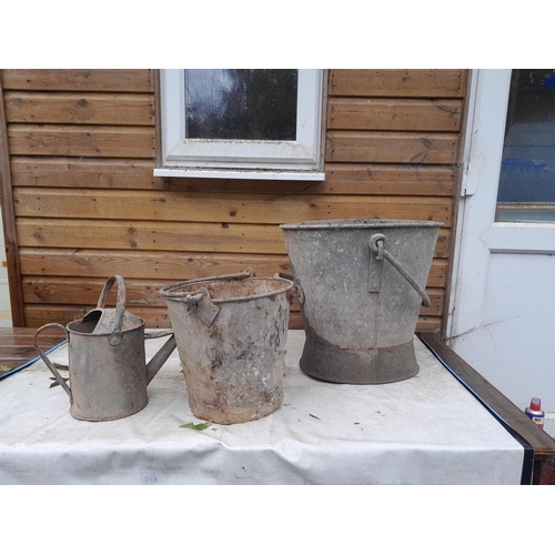 20 - Galvanised coal hod, bucket and watering can No Rose